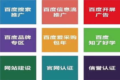 揭秘百度竞价广告：实战案例分析及优化策略